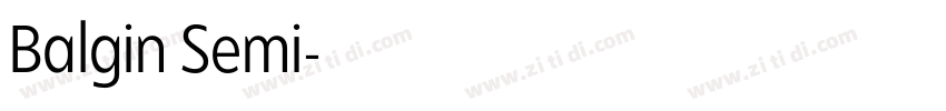 Balgin Semi字体转换 Balgin Semi字体转换